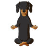 Meditation Dackel
