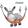 Sleeping Donkey