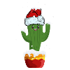 Cactus mignon de Noël