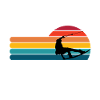 Wakeboarder silhouette