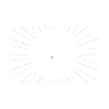 Nerd Science Geek