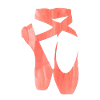 ballet Shoes