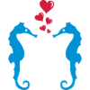 seepferdchen_in_love_001
