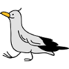 Funny seagull