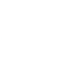 Ctrl V