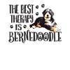 Bernedoodle