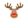 Rudolph Face costume