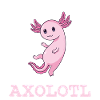 Axolotl
