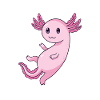 Axolotl