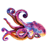 OCTOPUS