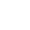 Maine Coon cat