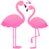 Flamingo Love Couple