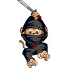 Ninja singe saut sabre cadeau