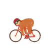 Sloth Cycling Team