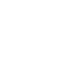 Dream Team Member (Used)