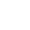 Official Team Leader (Used)