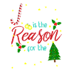 Jesus Christmas