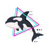 killer whale