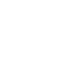 Master M.Sc.