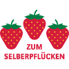 Erdbeeren Zum Selberpflücken