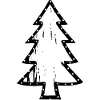 fir