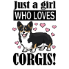 Corgi