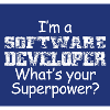 Software Developer