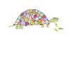 Tortoise