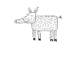 Wild Boar