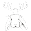 Reindeer Ram Rabbit