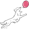 whiteshepballoon