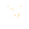 Pferd