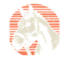 Pferd