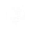 Lion lion face