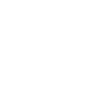 Hund & Frau Never walk alone