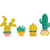 Cool Cactus Illustration Design