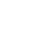 Euler's equation