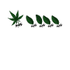 weed. Ant