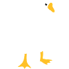 VERY angry white goose