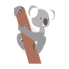 Koala bear