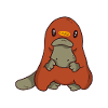 platypus