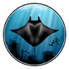 Manta rays and fish