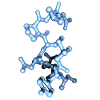 Hormone ocytocine