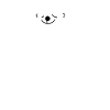 Funny polar bear