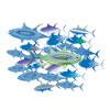 Dead fish