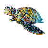 Sea turtle