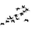 cranes