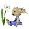 Rabbit and ladybug