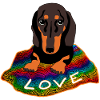 Dachshund love. dachshund