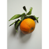 Mandarin